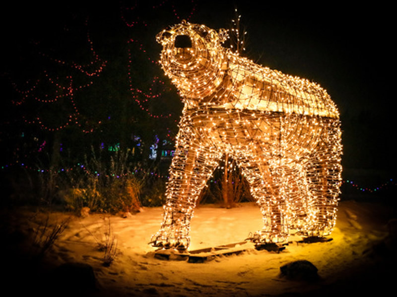 Polar Bear by Liz Hextall